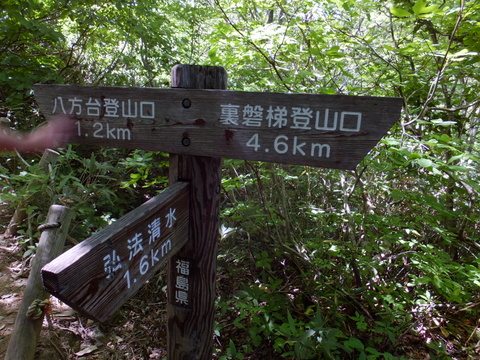 a0043982_20495520.jpg
