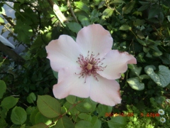 c0078586_20311444.jpg