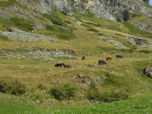b0164291_1162337.jpg