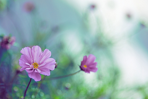 f0201297_8174098.jpg