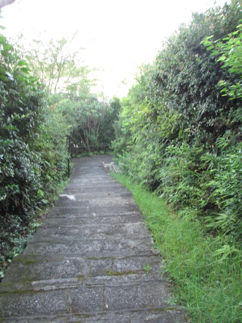 a0193698_19554410.jpg
