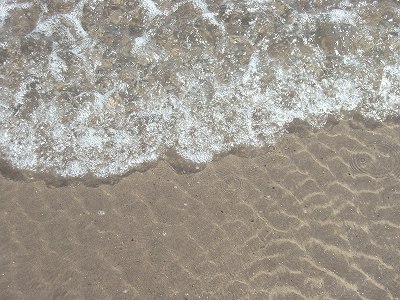 d0031000_15454111.jpg