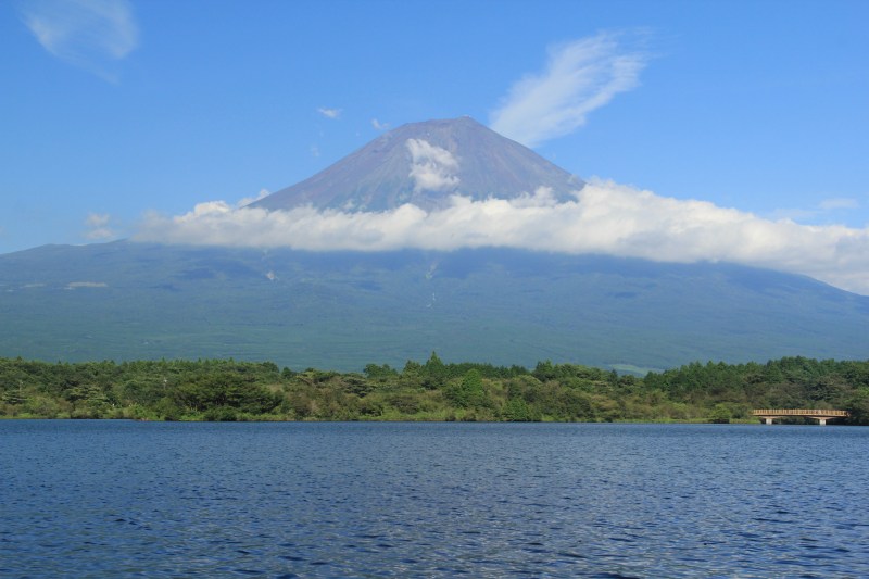a0188405_1033780.jpg