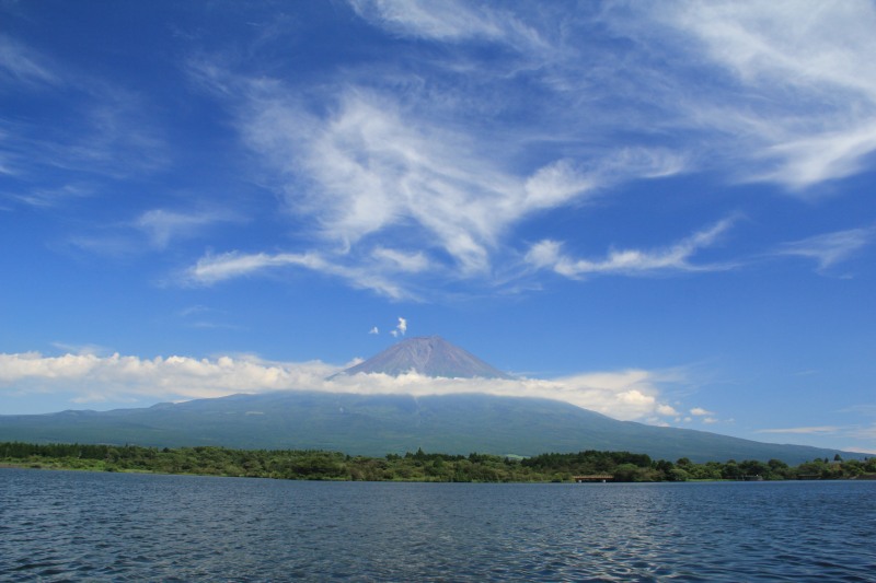 a0188405_1071718.jpg