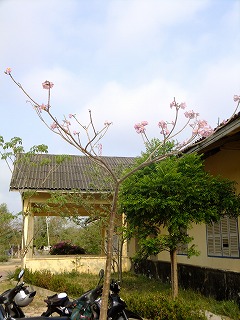 b0229505_22185673.jpg