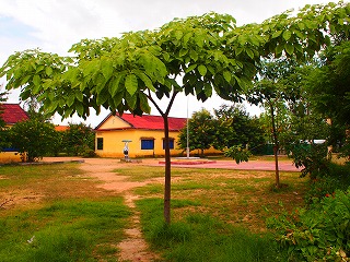 b0229505_2293966.jpg