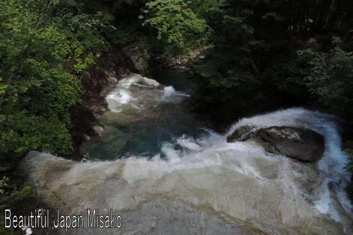 c0067206_20532454.jpg