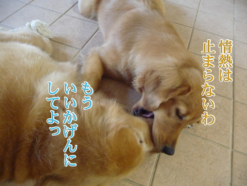 e0072606_10233856.jpg