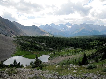 b0051109_1120158.jpg