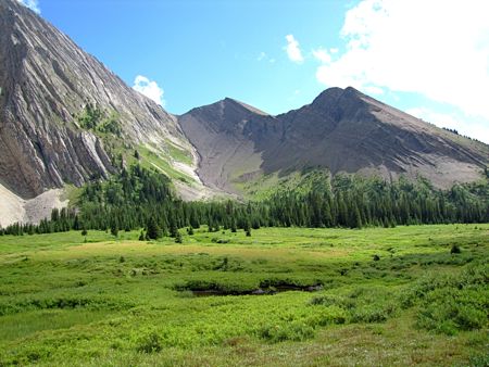 b0051109_11273330.jpg