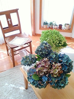 d0024809_1571586.jpg