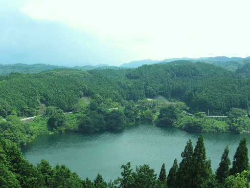 d0154609_9455246.jpg