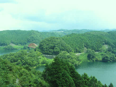 d0154609_9474599.jpg