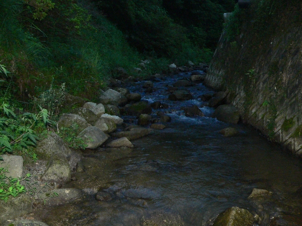 e0002314_21393346.jpg
