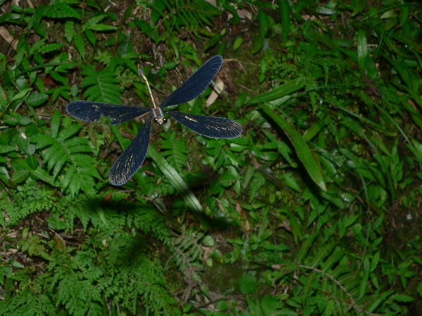 e0002314_21425036.jpg