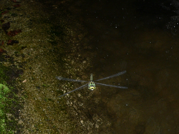 e0002314_2143361.jpg