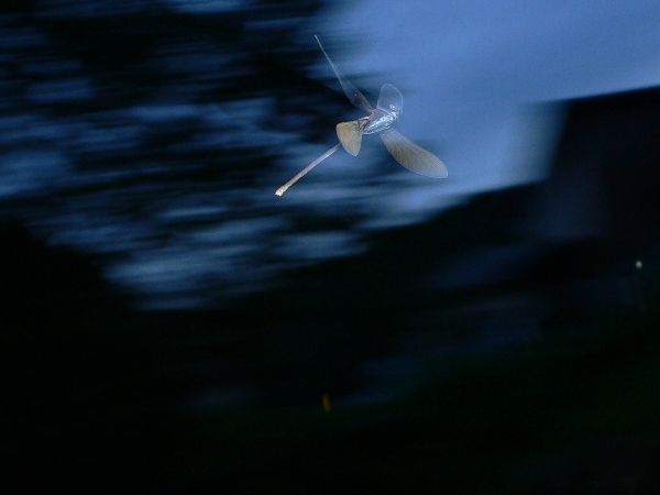 e0002314_2143935.jpg