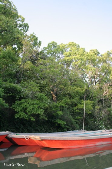 c0071221_2041142.jpg