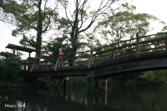 c0071221_20414789.jpg