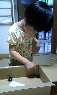 c0117621_0345420.jpg
