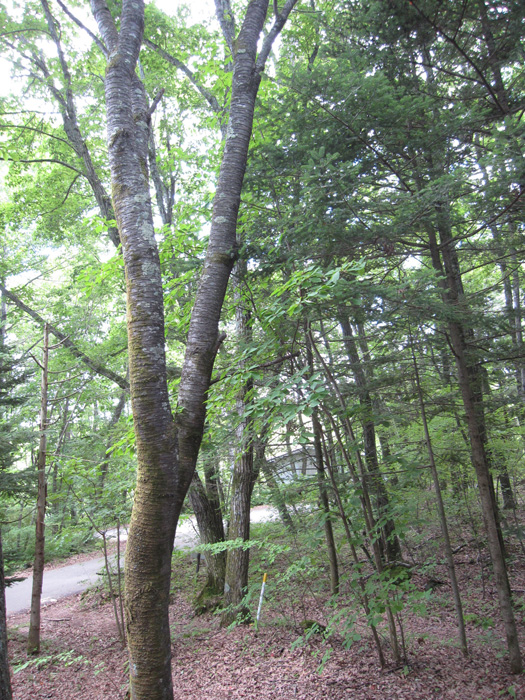 e0244621_22151749.jpg