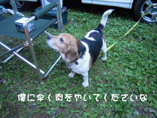 c0166622_9211866.jpg