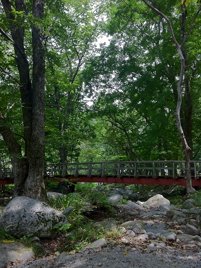 e0156222_1350567.jpg