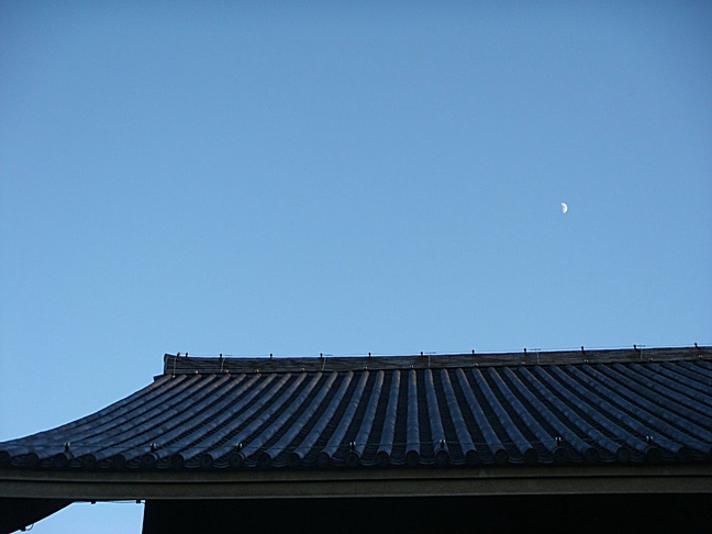 b0068423_23154378.jpg