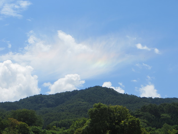 a0155430_9165271.jpg