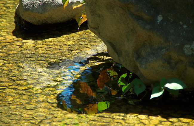 a0253730_22485987.jpg
