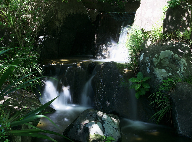 a0253730_23281839.jpg