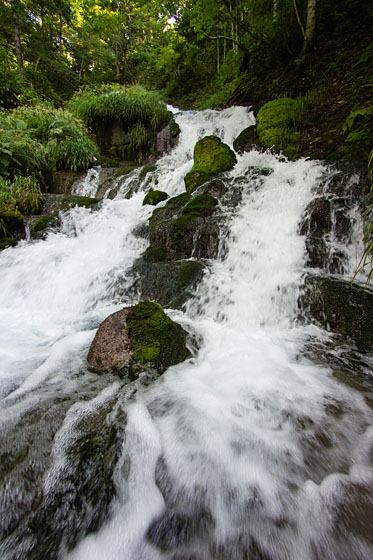 e0025030_8442924.jpg
