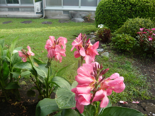 a0206332_1183383.jpg