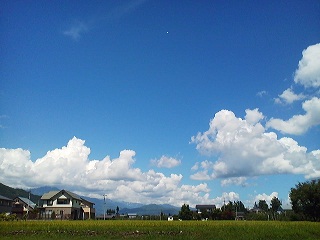 a0272241_8574549.jpg