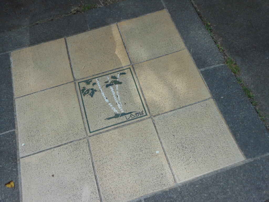 c0122744_21505267.jpg