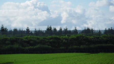 d0154344_15554680.jpg