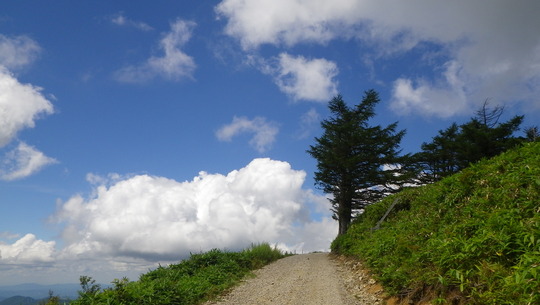 c0042847_1510422.jpg