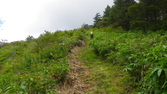 c0042847_151612100.jpg