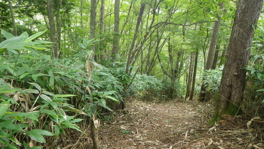 c0042847_15181971.jpg