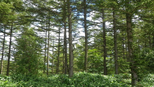 c0042847_15223080.jpg