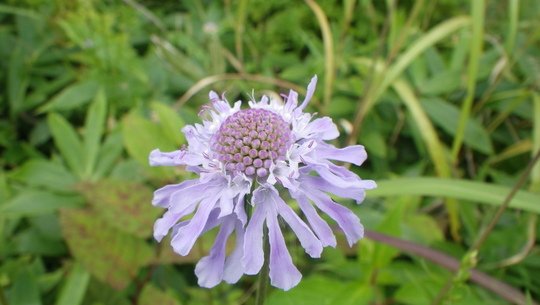c0042847_15235011.jpg