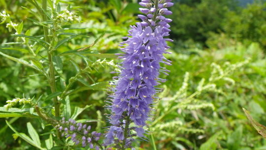 c0042847_1524212.jpg