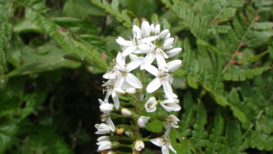 c0042847_15243560.jpg