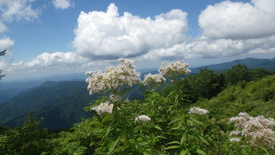 c0042847_15271738.jpg