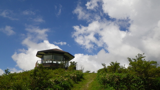 c0042847_1528491.jpg