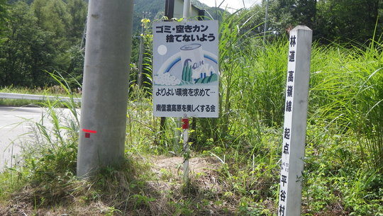 c0042847_1533835.jpg