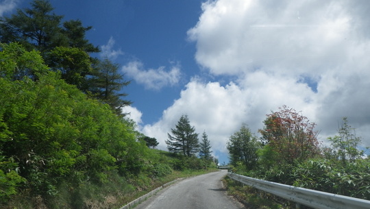 c0042847_1543126.jpg