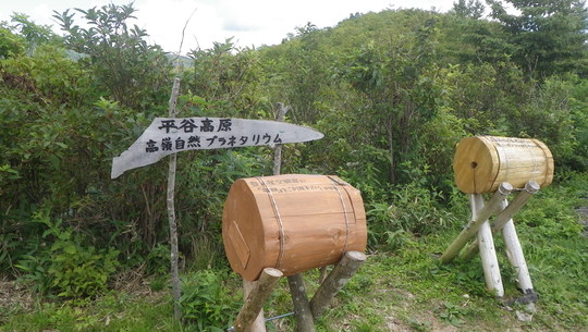 c0042847_1555112.jpg