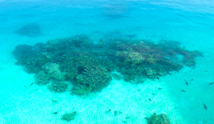 f0190653_16172527.jpg