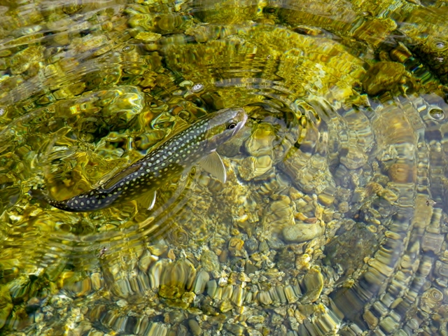 b0177355_13493743.jpg